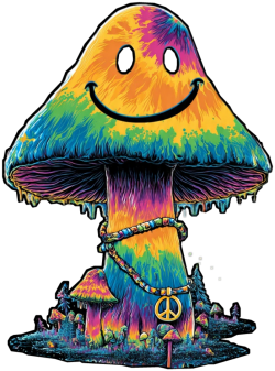 Magic Mushrooms