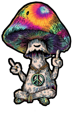 Magic Mushrooms
